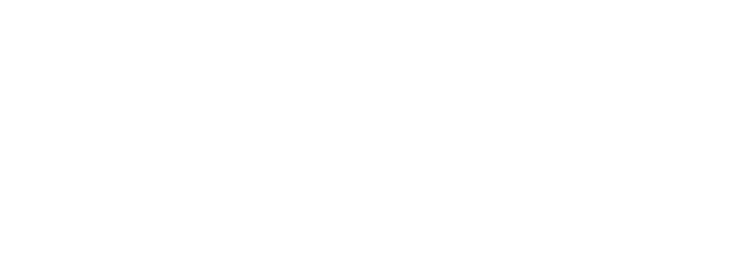 TOKYOVIP